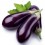 Aubergines